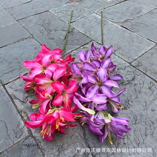 �������G�����G�~��������G����֦��c�bٻ��zӰ���߼٘��b��