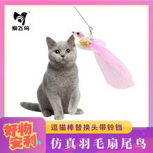 ���w�B������ëС�B��؈����Q�^����K������β�B������ҧ؈���
