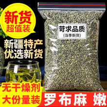 正品新疆原产地野生罗布麻嫩芽叶正品500g特级散装罗布麻非花茶叶