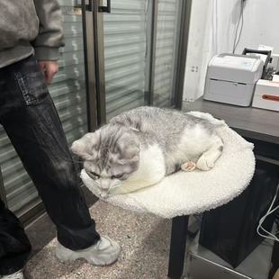 Cross-border Hot Pet Cat Shelf Mobile Portable Removable Metal Cat Shelf Home Office Desk Pet Cat Nest