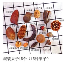 ɻb޻ɹ֦~ɏ׃@ֹh