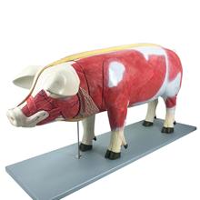 �i�Rţ���u ؈�ù�����ģ������ƴ�b�ɲ�жģ�� �t�ý̌W����ģ��