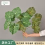 仿真商场家居手感蔓绿绒