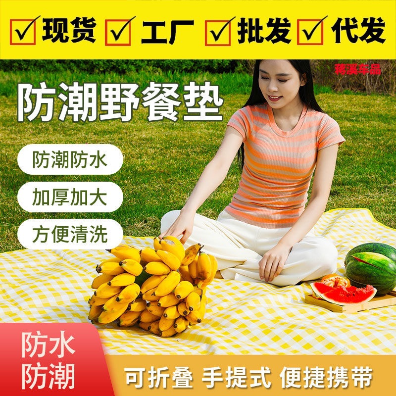 Picnic mat thickened outdoor camping moisture-proof mat field lawn…
