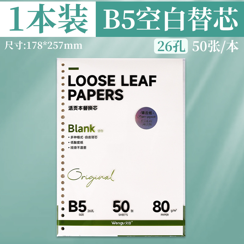 B5 núcleo de reemplazo en blanco - 50 hojas