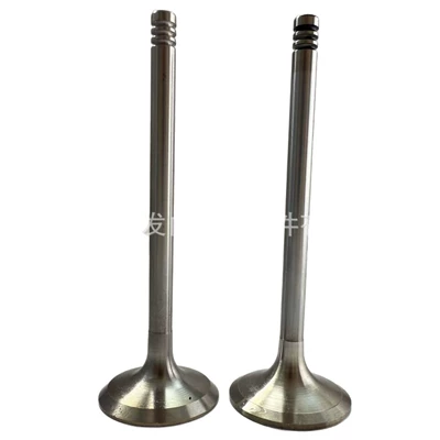 4280404, Valves and components