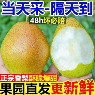 �����@ֱ�l���]�����殔���t�������ִ౬֭���½��젖������֧��