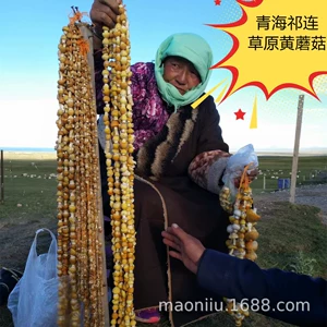 Qilian Prairie Yellow Mushroom Qinghai Желтые грибы Xining Little Gymother Qinghai Specialty желтые грибы сухой сухой