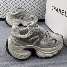 ߺϵЬŮ2024¿Wtﶬ\ЬW_WٴЬ