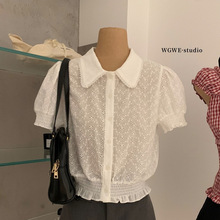 WGWE2026�ļ���ϵ��Լ�����ع��Ứ�οհٴ�����������W9187
