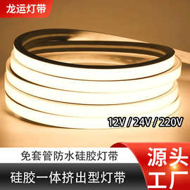龙运LED Strip Lights led纯硅胶一体式硅胶灯带12/24/220V软灯条