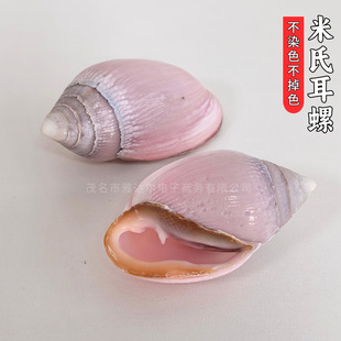 ���϶�����Ȼ����ؐ��ϡ�ж����ղ��~���쾰ˮ���b���[�����l
