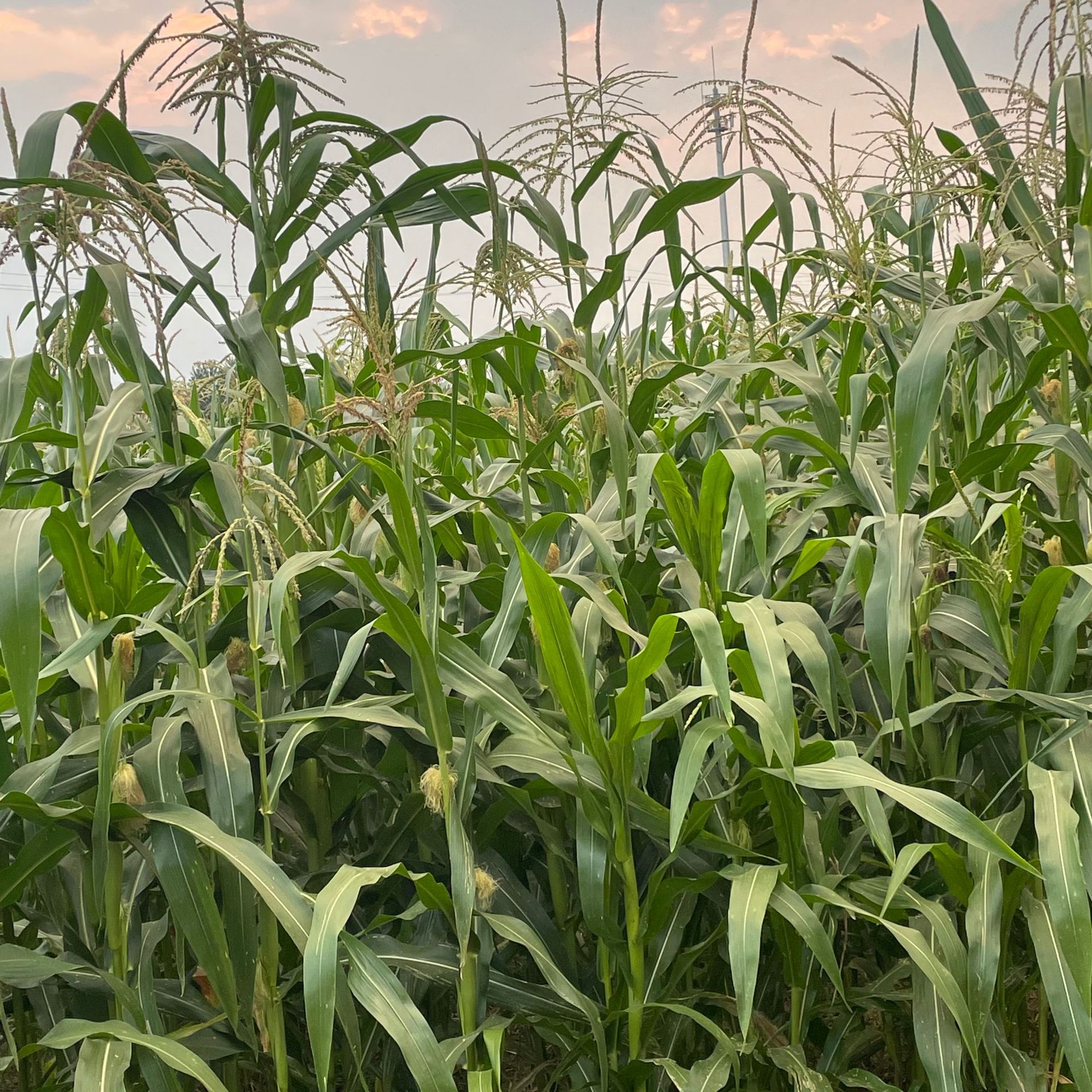 微信图片_20230902121532