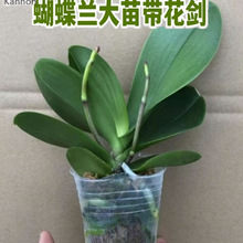 �����m���������������m�����ԾGֲ���҃ȿ͏d�_��������B��