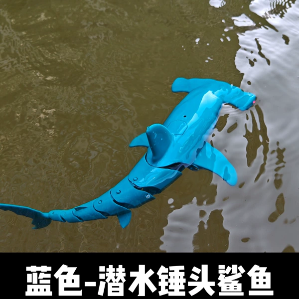 Blue shark, remote control, diving