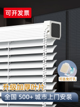 �k���Ҵ����ڹ⺟2025�¿����׾���ʽ���~�����������������