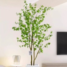 �R��ľ�����Gֲ�͏d�[����������҃ȵ��R�ٻ���