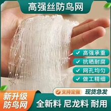 果园大棚加粗耐晒网果树稻谷樱桃葡萄梨树草莓防鸟网鱼塘养殖天网