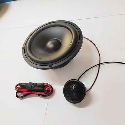 Modified Speaker, Car speaker/subwoofer