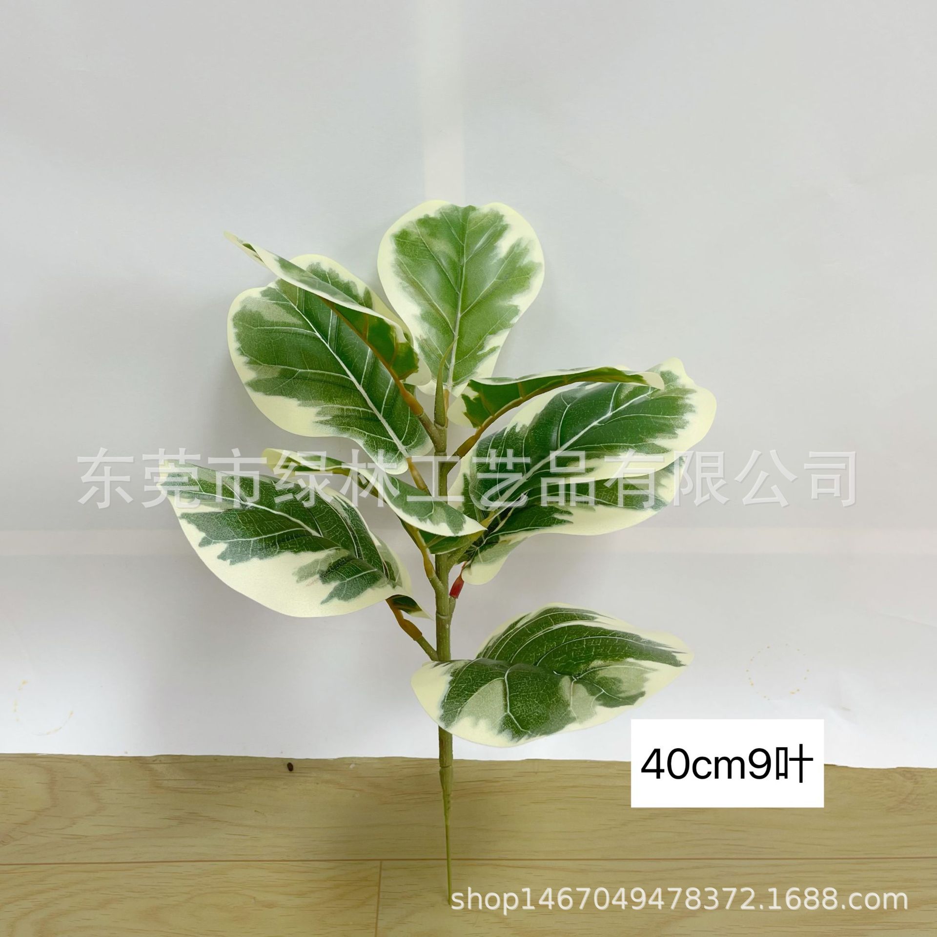 흰색 가장자리 40cm9 잎