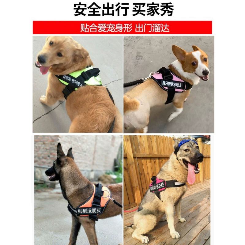 Собачий поводок поводок ремешок грудной повязки