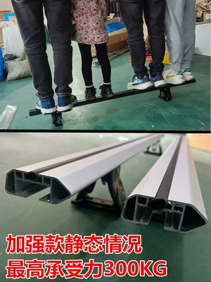 Roof Rack Modification Parts for | Roof rack - thickened-tiger-claw-silver-pair