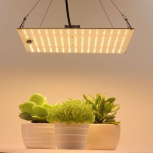 ȫ���V50w 100w�������Ӱ���{����Ҵ����߲����Ӱ�ֲ�����L��