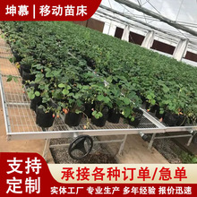 �Ƅ��紲�߲˻��ܷNֲ�紲�W���紲����\���Ҵ����������紲