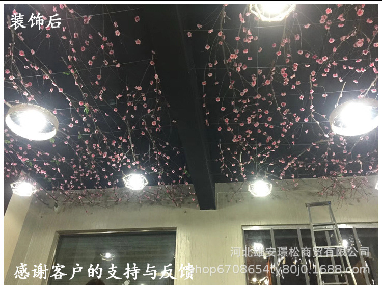 O1CN011T1yX3WZCZzabY8_!!776872