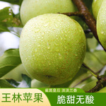 产地直发正宗王林苹果脆甜新鲜青苹果王林丑雀斑水果烟台绿苹果