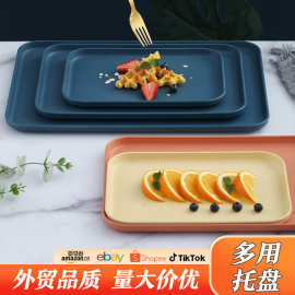 小麦秸秆塑料托盘大中小盘子套装高颜值餐厅方形水果托盘跨境批发