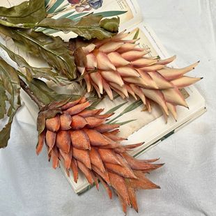 ���}����ֲ���P��Ƶ�Ӱ��g��Y�廨�b���ؼٻ��[���߼��мٻ�