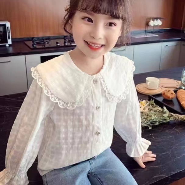 레이스 칼라 화이트 긴소매