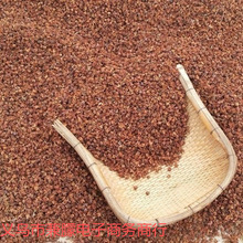 ���װl�ؘ��ٰ��^ɢ�b���^���ӂȰ�Ұ���ڰl������ɽ��о�����]