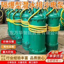 ���÷���Ǳˮ��ɳ��� BQS630-90-280/N���ø�����Ǳˮ��ɳ���