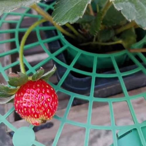 Strawberry stand, home planting tray rack, anti-lodging plant fruit support, gardening supplies support rack, dropshipping