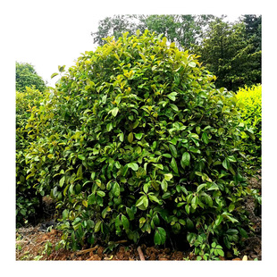 ����ֱ�� �ļ��� �ļ����� �ļ��� �ļ����� �ļ��𻨘�