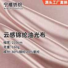 锦氨油光面料 经编锦纶有光布料 冰丝绸家纺高弹柔光泳衣面料