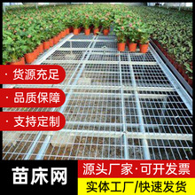 亚奇苗床网片 农业种植网 异形网片 后镀锌网片 园艺育苗专用网