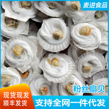 粉丝扇贝蒜蓉半壳大元贝扇贝肉烧烤自助餐海鲜水产商用100只/箱