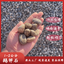 鹅卵石滤料 水处理 垫层鹅卵石1-12CM大小规格齐全