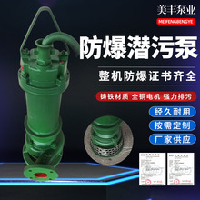 防爆污水提升泵 潜水排污泵 IICQQW系列1.5Kw 污水泵