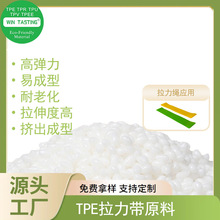 ���b TPE�٤������ԭ���w�� �ߏ�������ȸ� �D���������z�w��