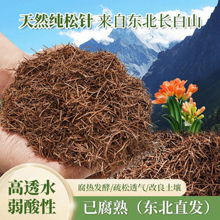 ����{ݮ��ֳ����ᘠI�B����Ȼ���N�軨�����m�������m������