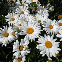 IշNӰUջ޸׾ͺ@־^ͥԺ̨Ի