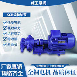 不锈钢耐腐蚀齿轮油泵厂家KCB现货新款食品齿轮油泵KCB-200包退换