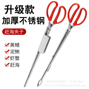 �S�X�A���q�X�~�Q�����s�����P䓊A�߼��L�з�A�������A���ߝO��