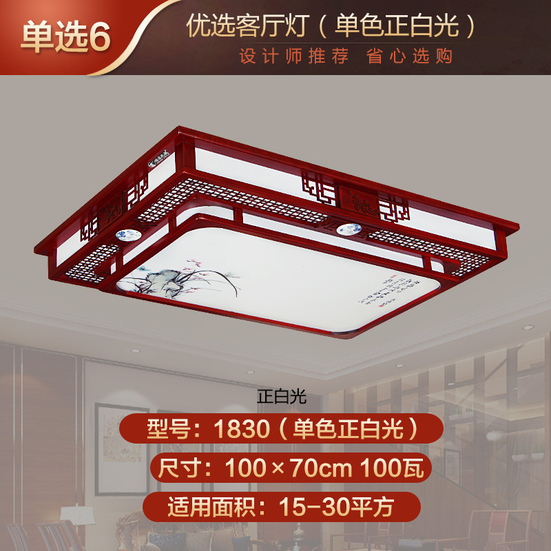 100×70cm 단색 백색광