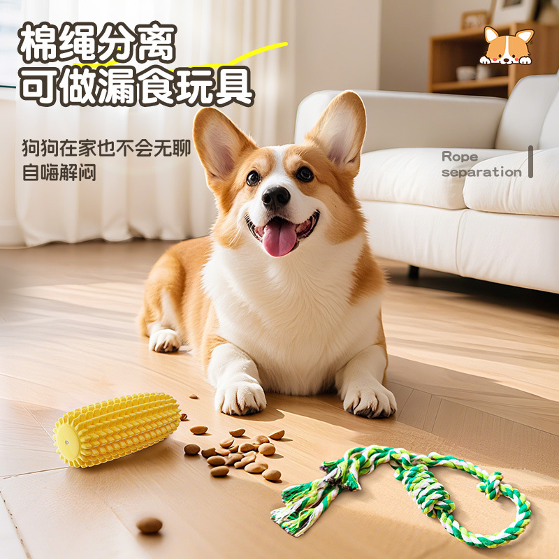 Juguetes para perros para aliviar el aburrimiento, dientes molares resistentes a la mordida, sonido, perros de pelo dorado, mascotas, perros grandes, artículos para cachorros image 5