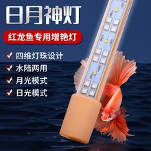 led~Ȼ~lɫGײɫtGled